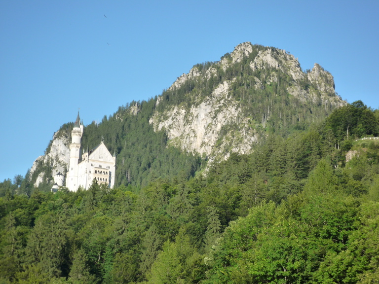 P1000393.JPG